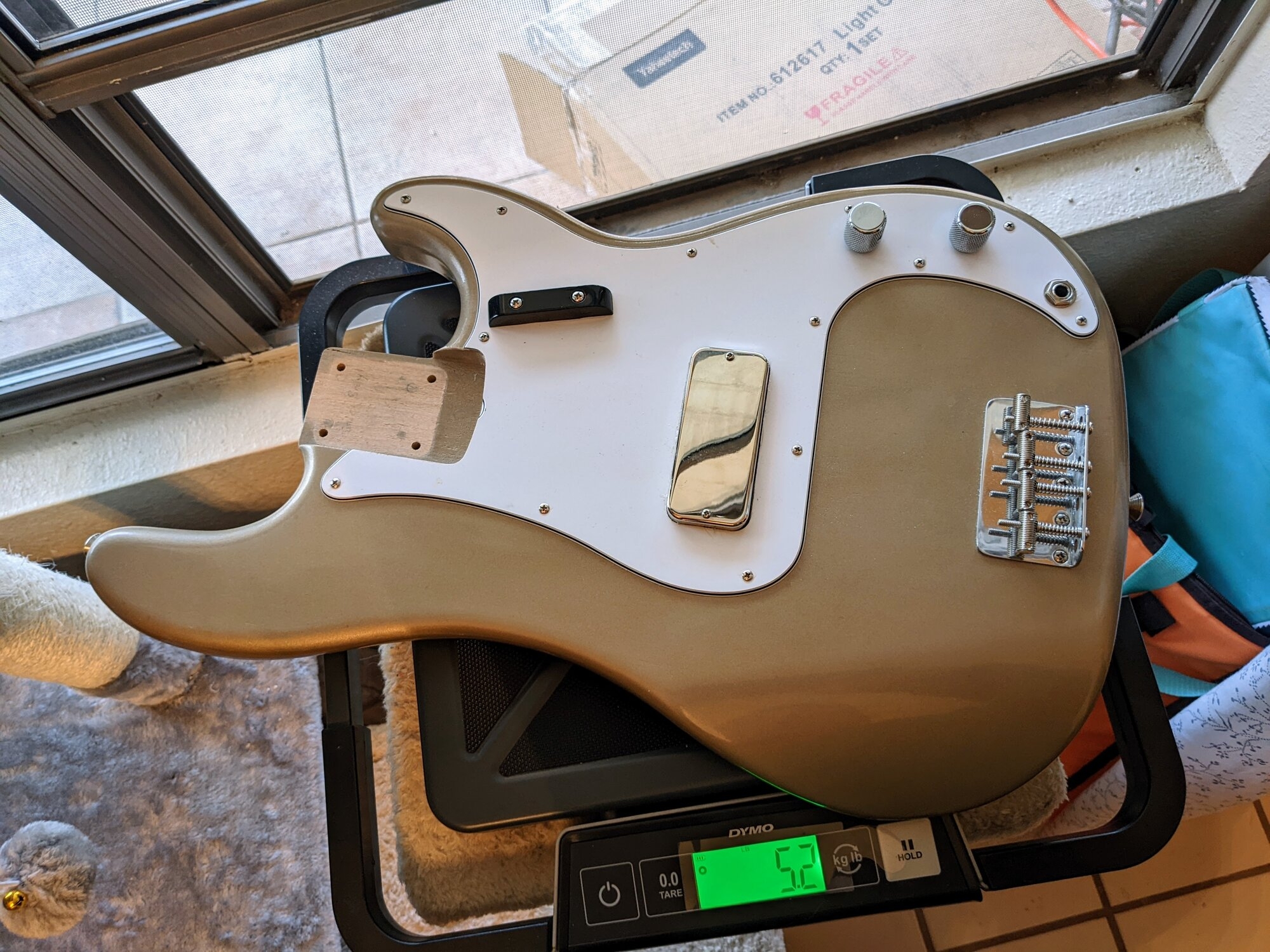 pbass body.jpg