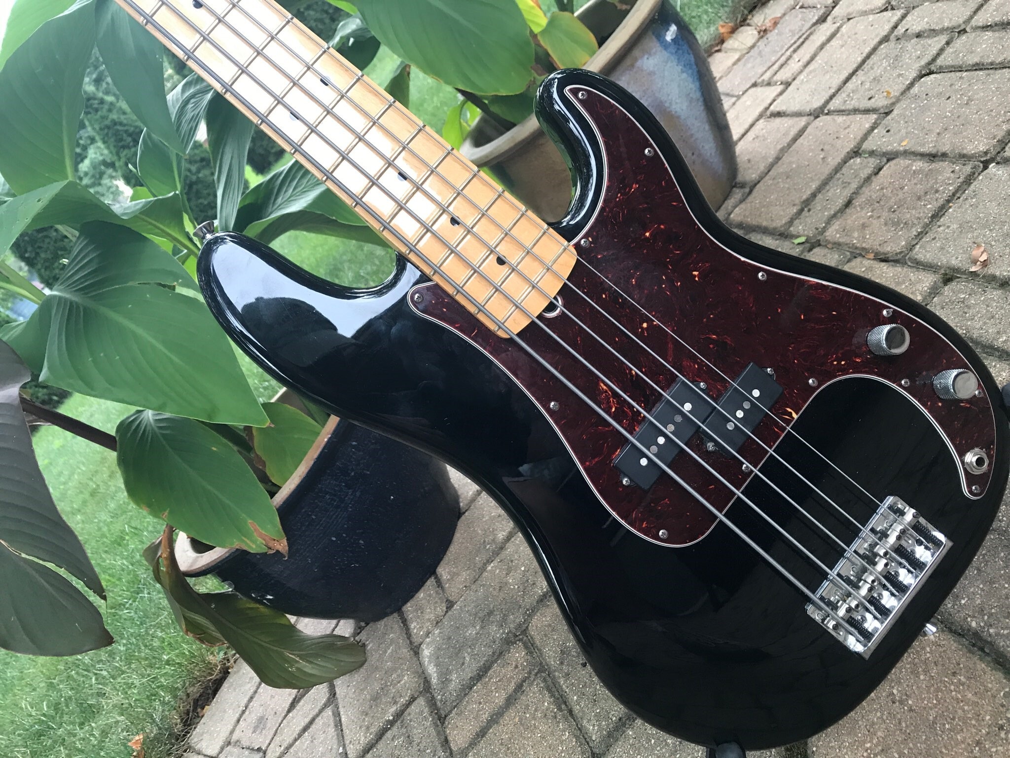 pbass02.jpg