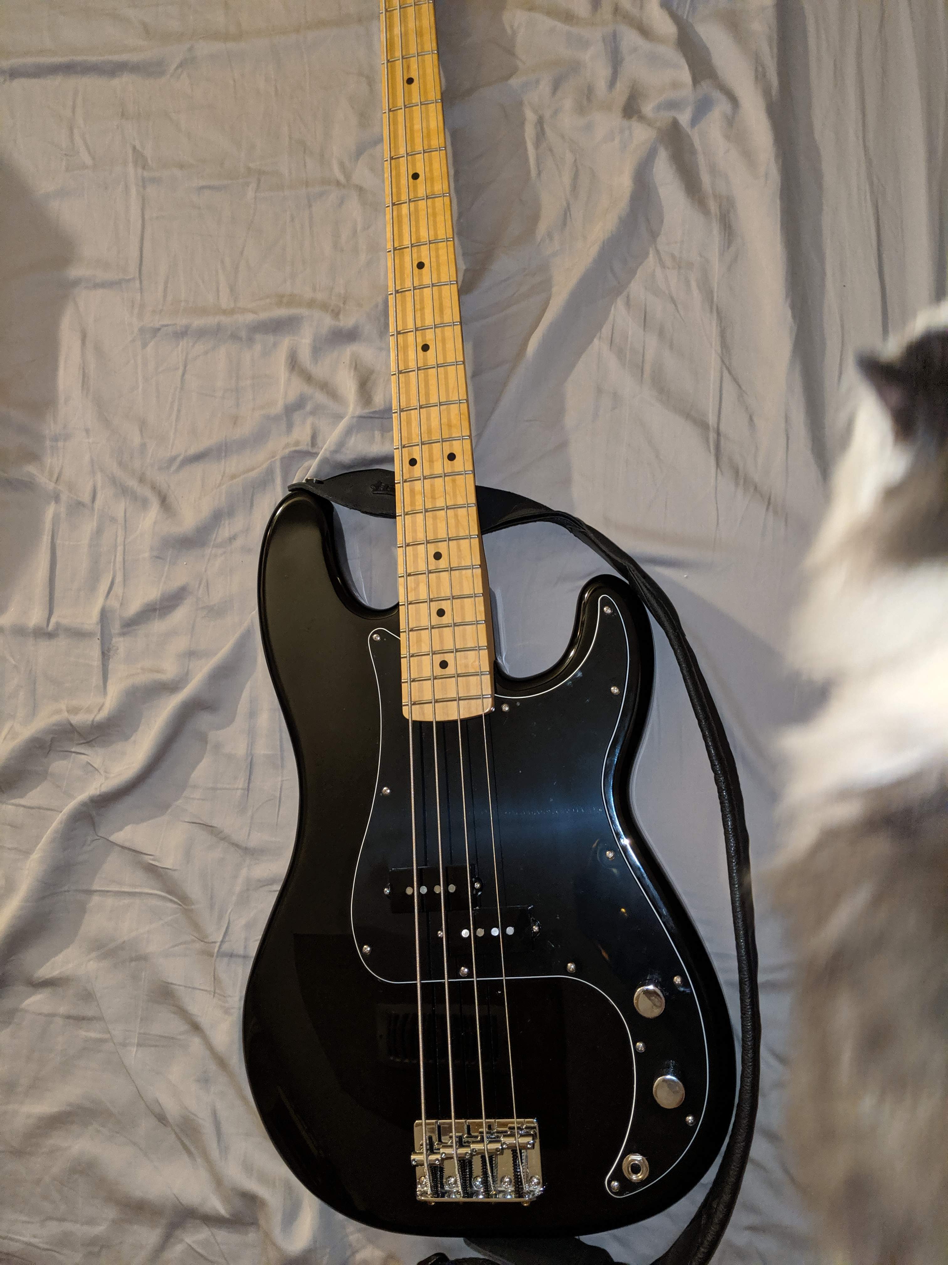 pbass2.jpg