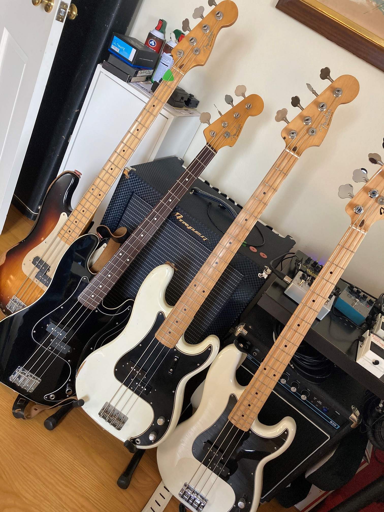 PBasses.jpg