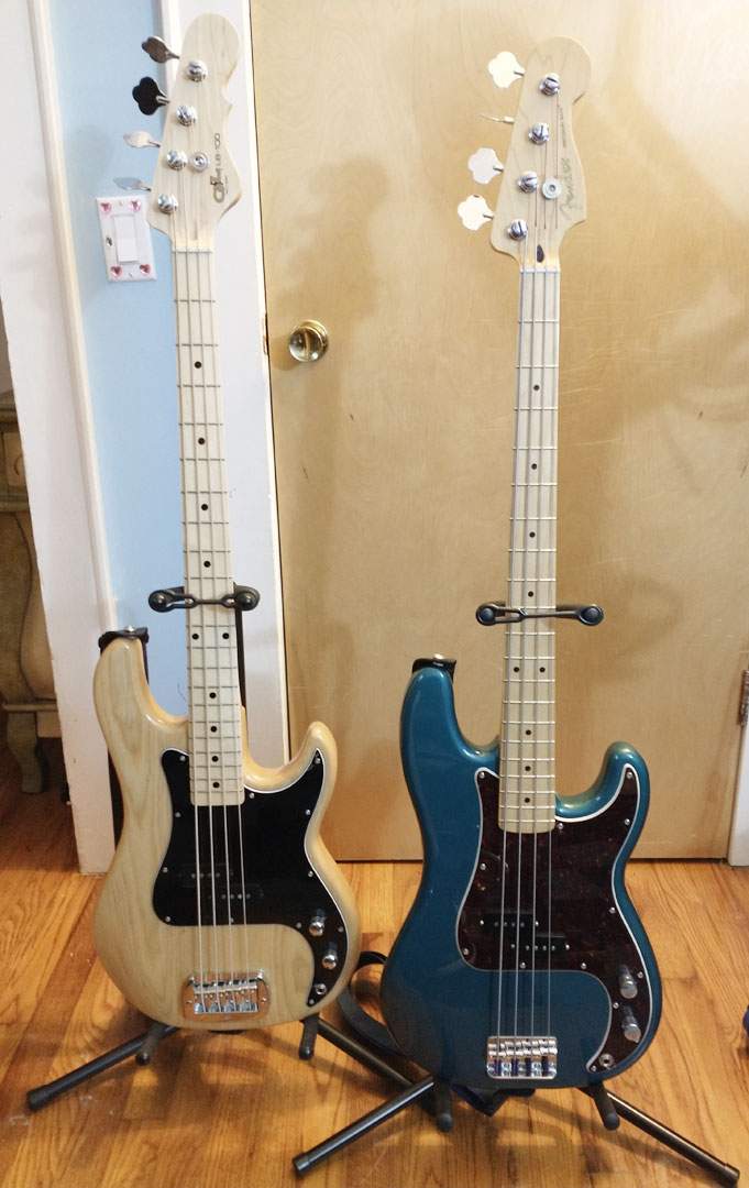 Pbasses1.jpg