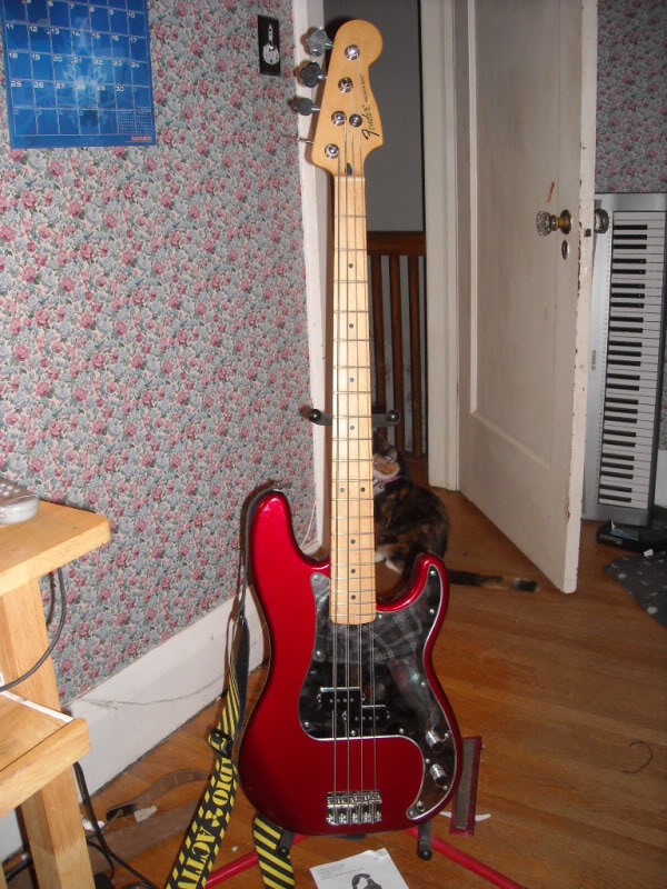 pbss001.jpg