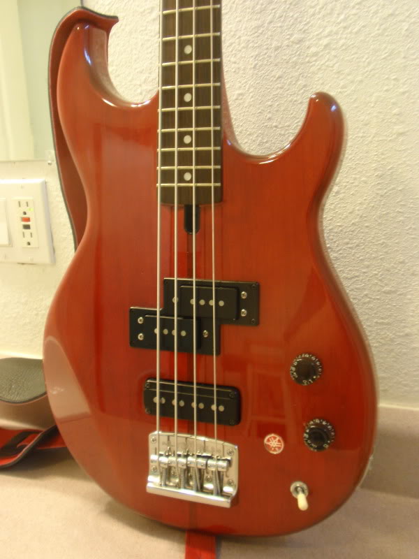 PC120973.jpg