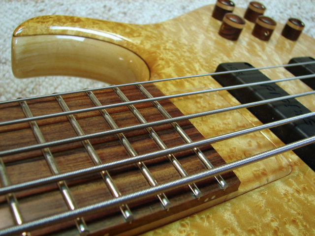 pd5_03.jpg