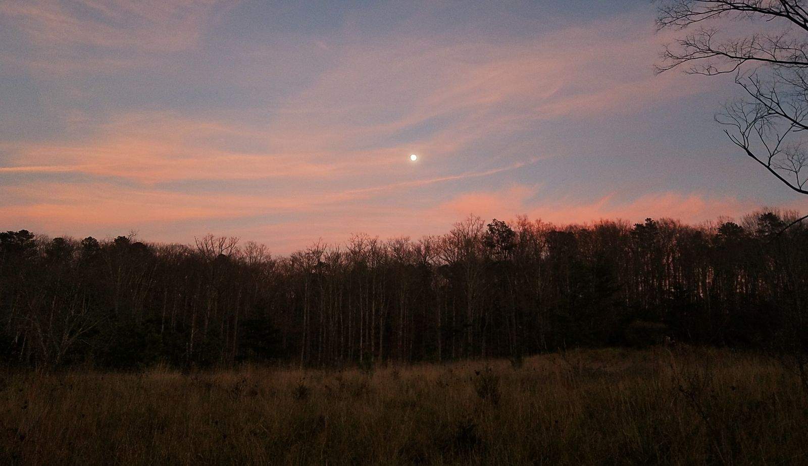 Peachy Moon.jpeg
