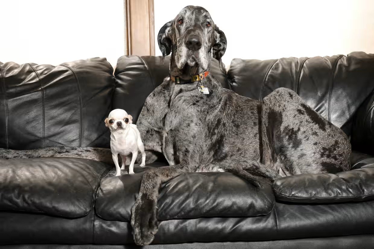 Pearl and Reginald.jpg