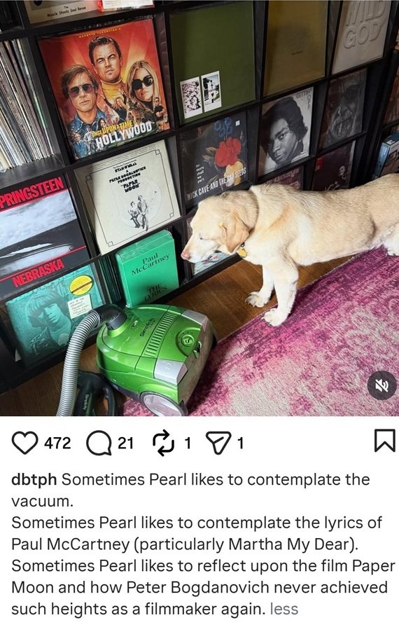 pearl dog.jpg