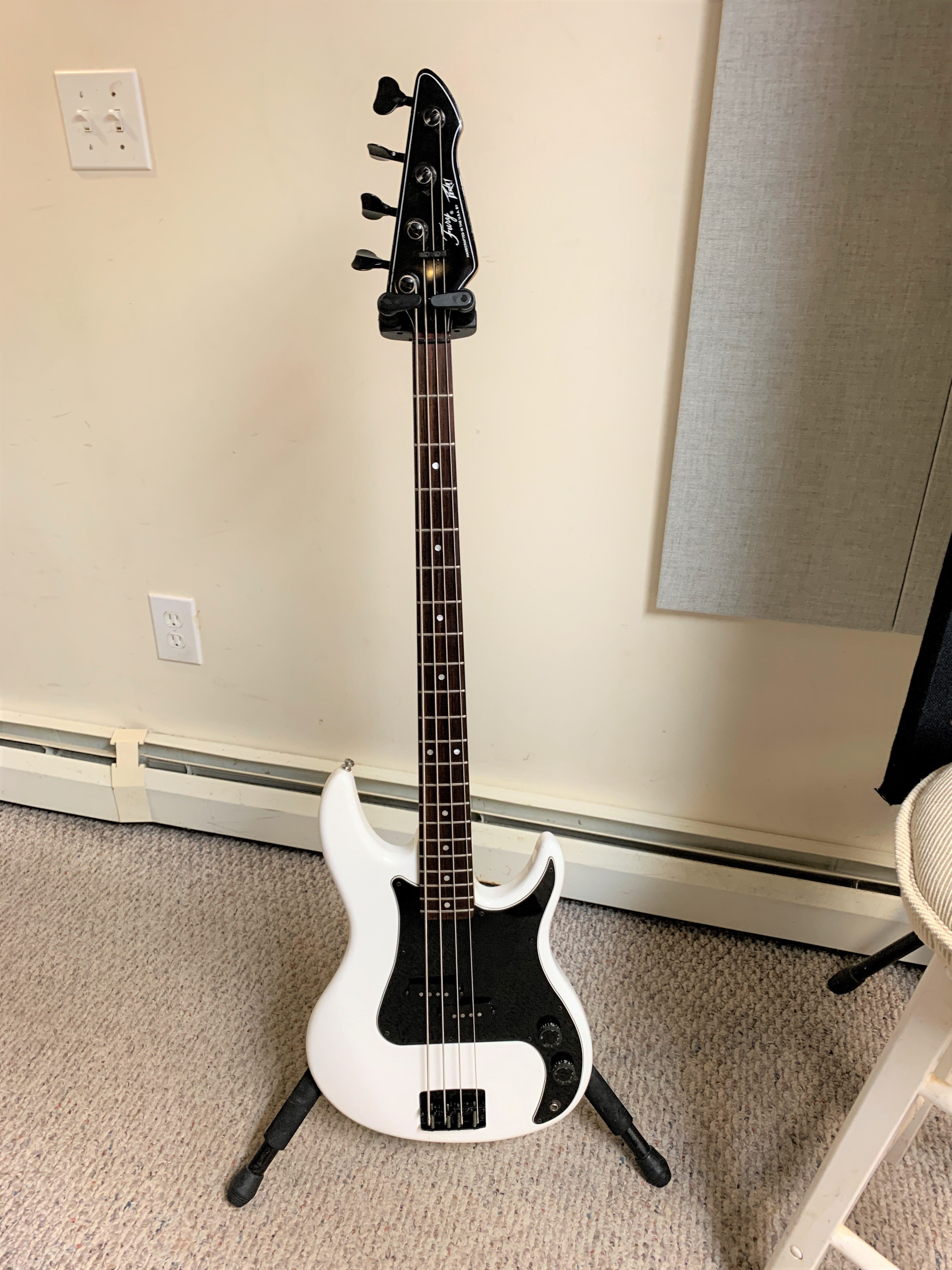 peavey (1).JPG