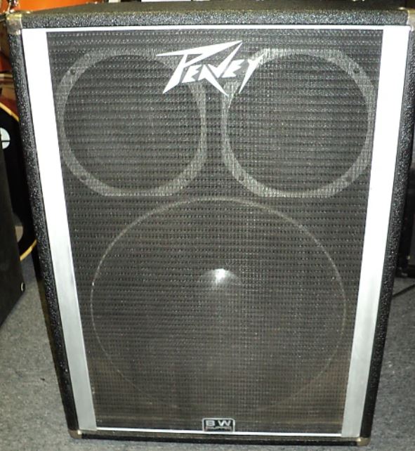 Peavey 1820 Cab.JPG