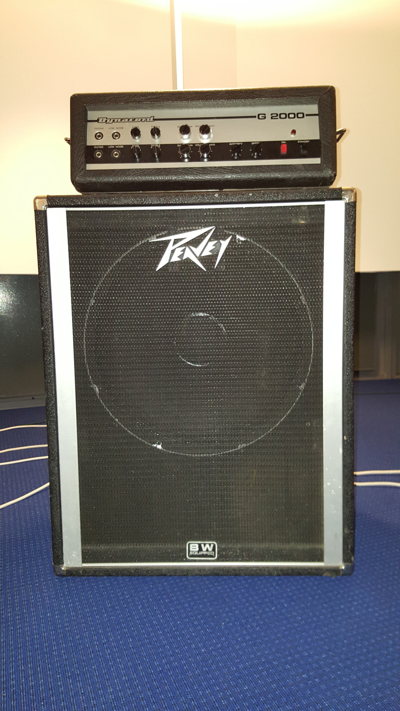 Peavey%20cab_zpsj2188e8g.jpg