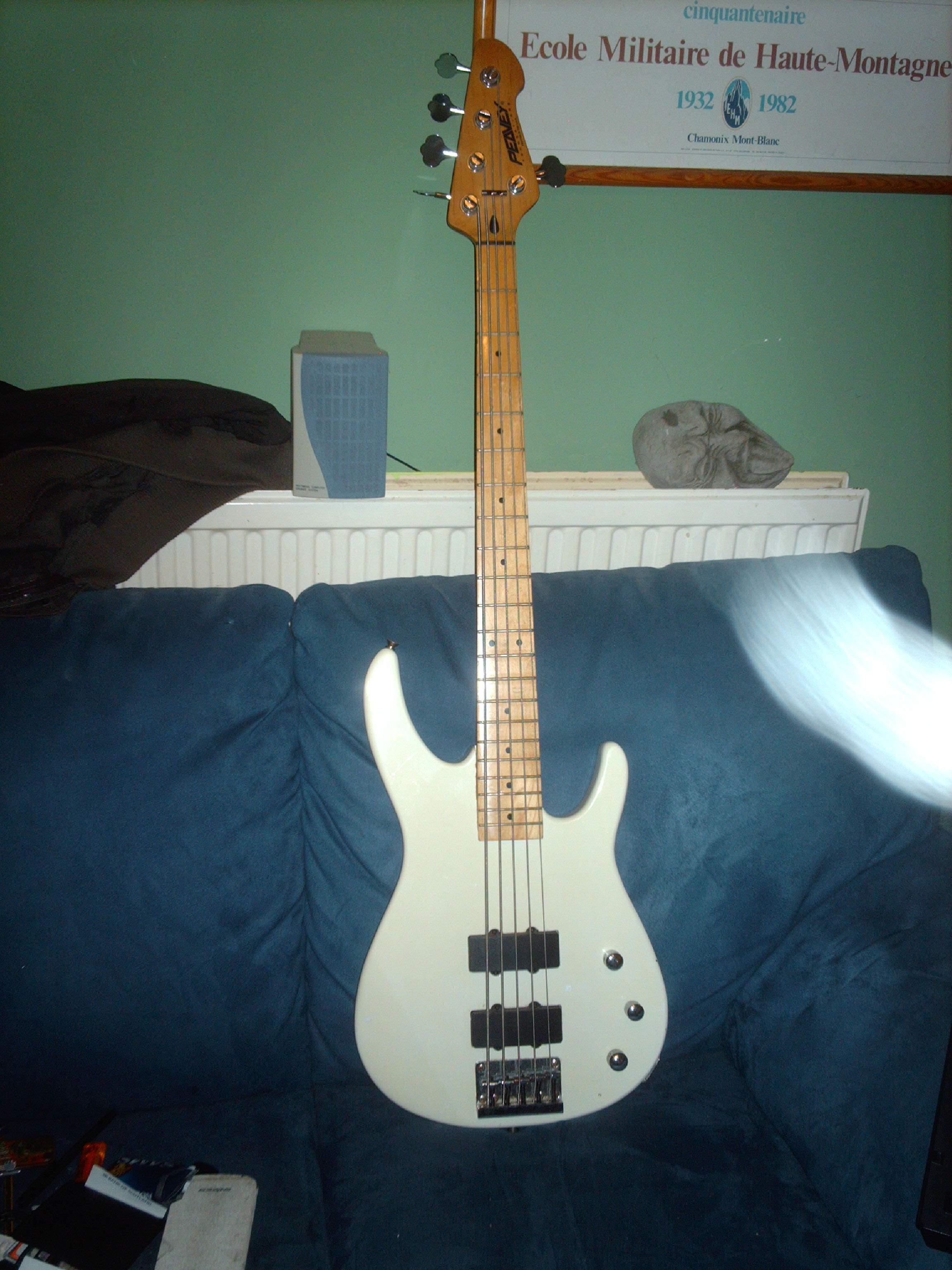 Peavey 5 (3).JPG