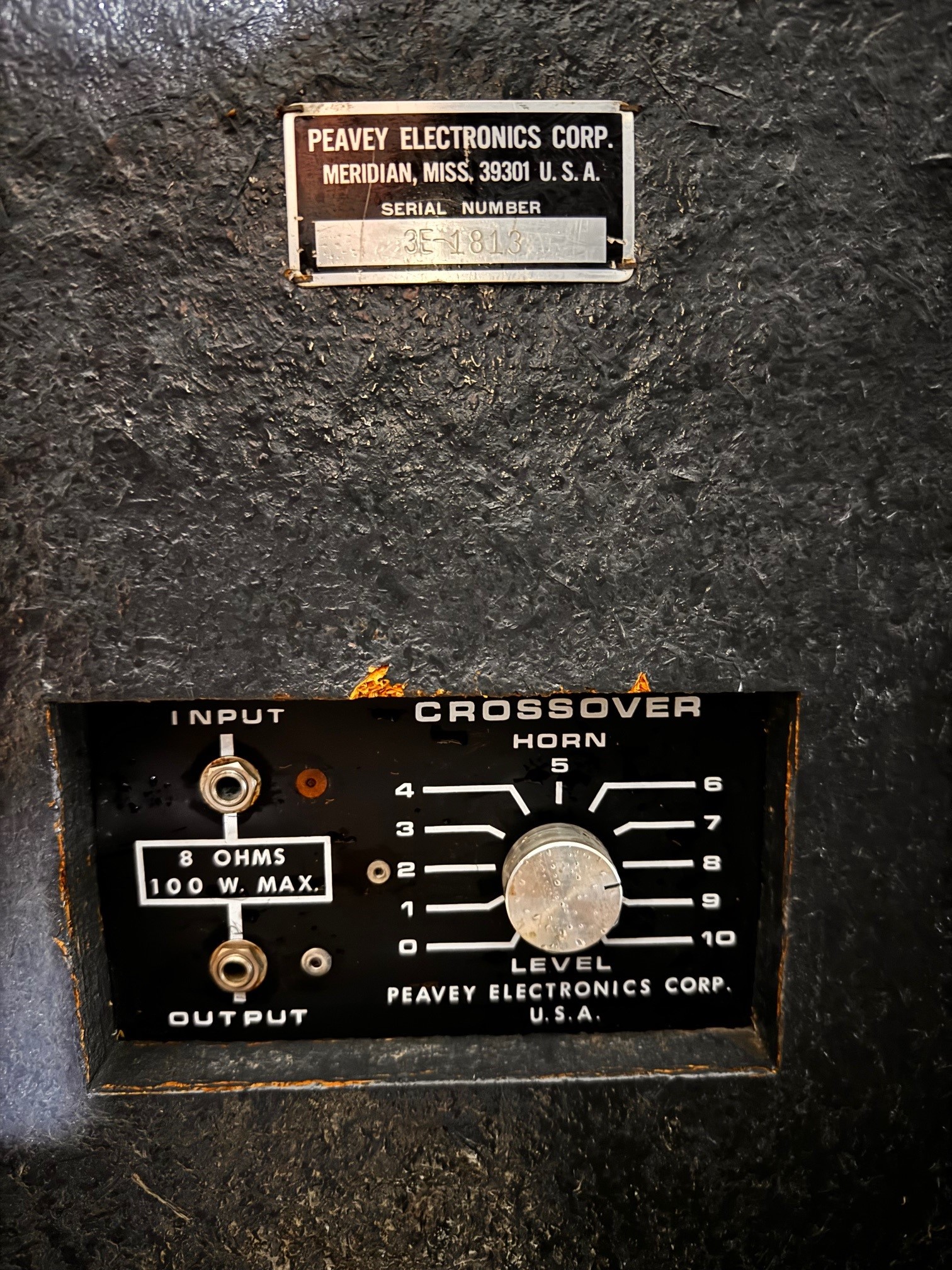Peavey Back 1.jpg