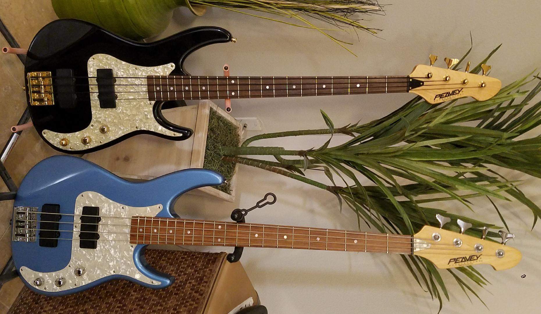peavey basses.jpg