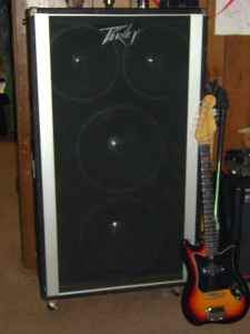 peavey-cab-jpg.jpg