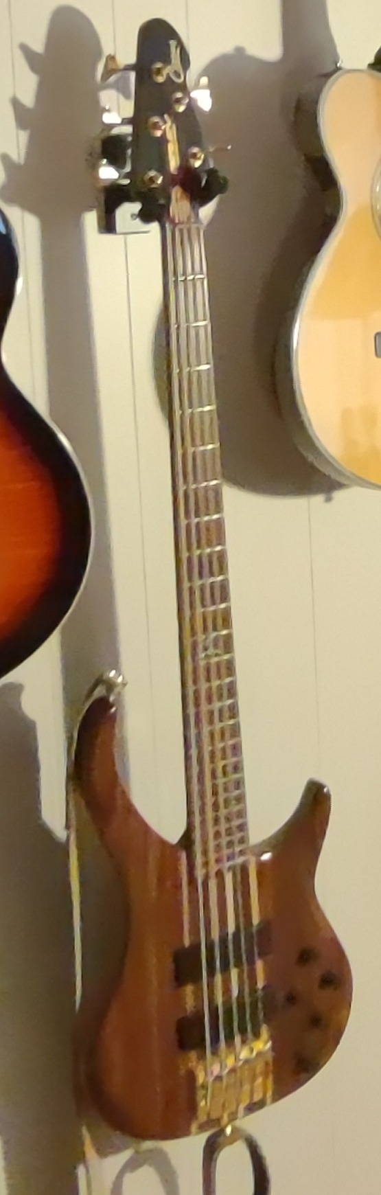 Peavey Cirrus 5.JPG