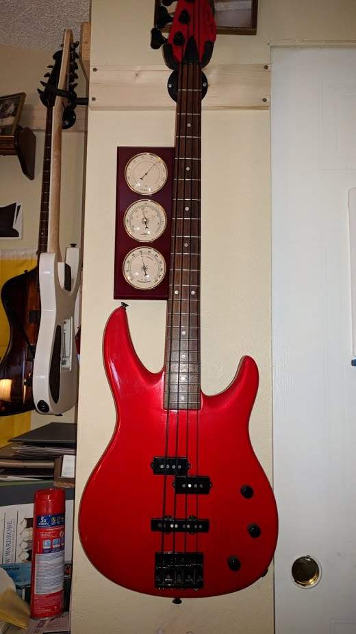 Peavey Dyna Unity.jpg