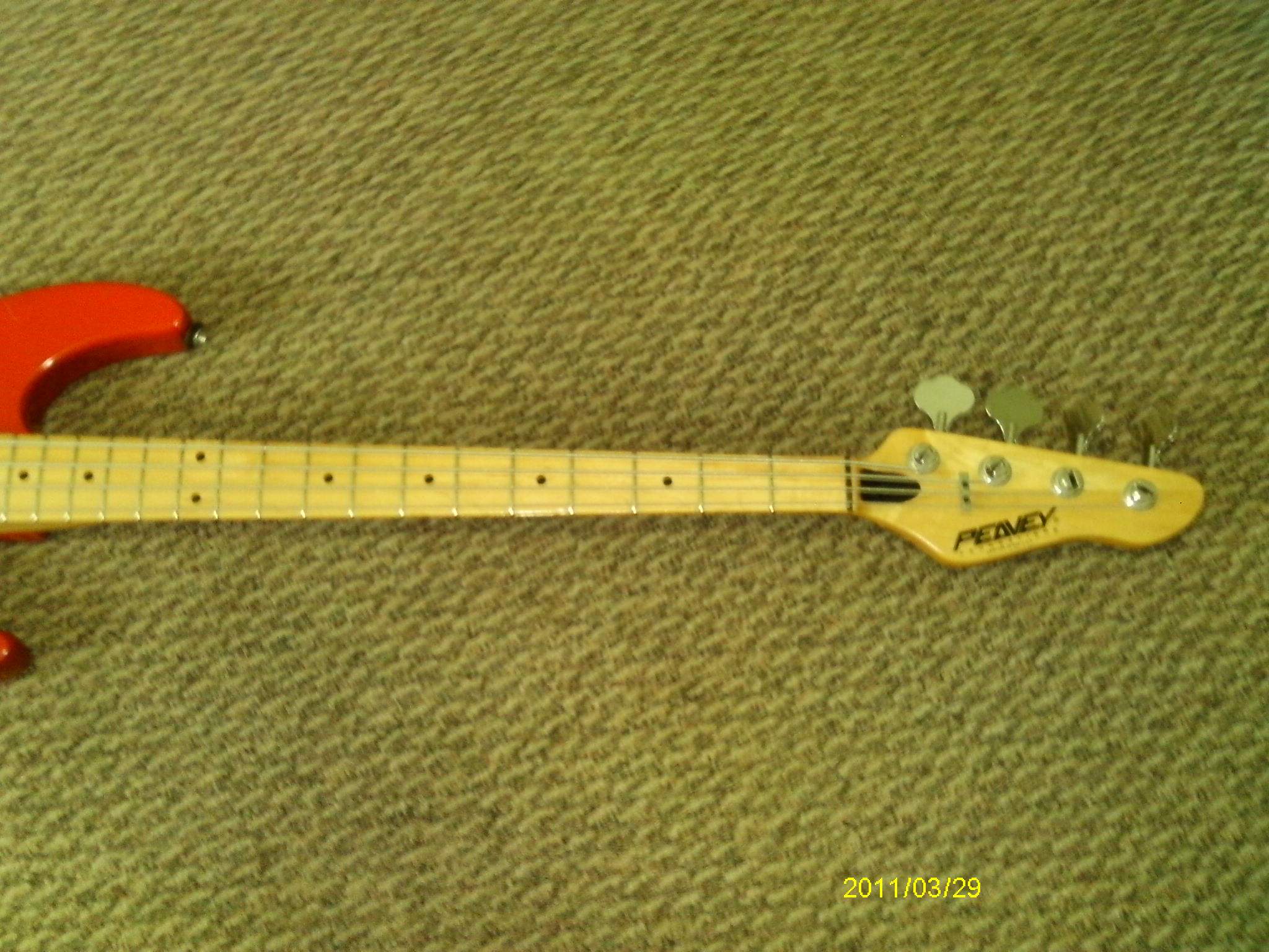 Peavey Foundation(2).JPG