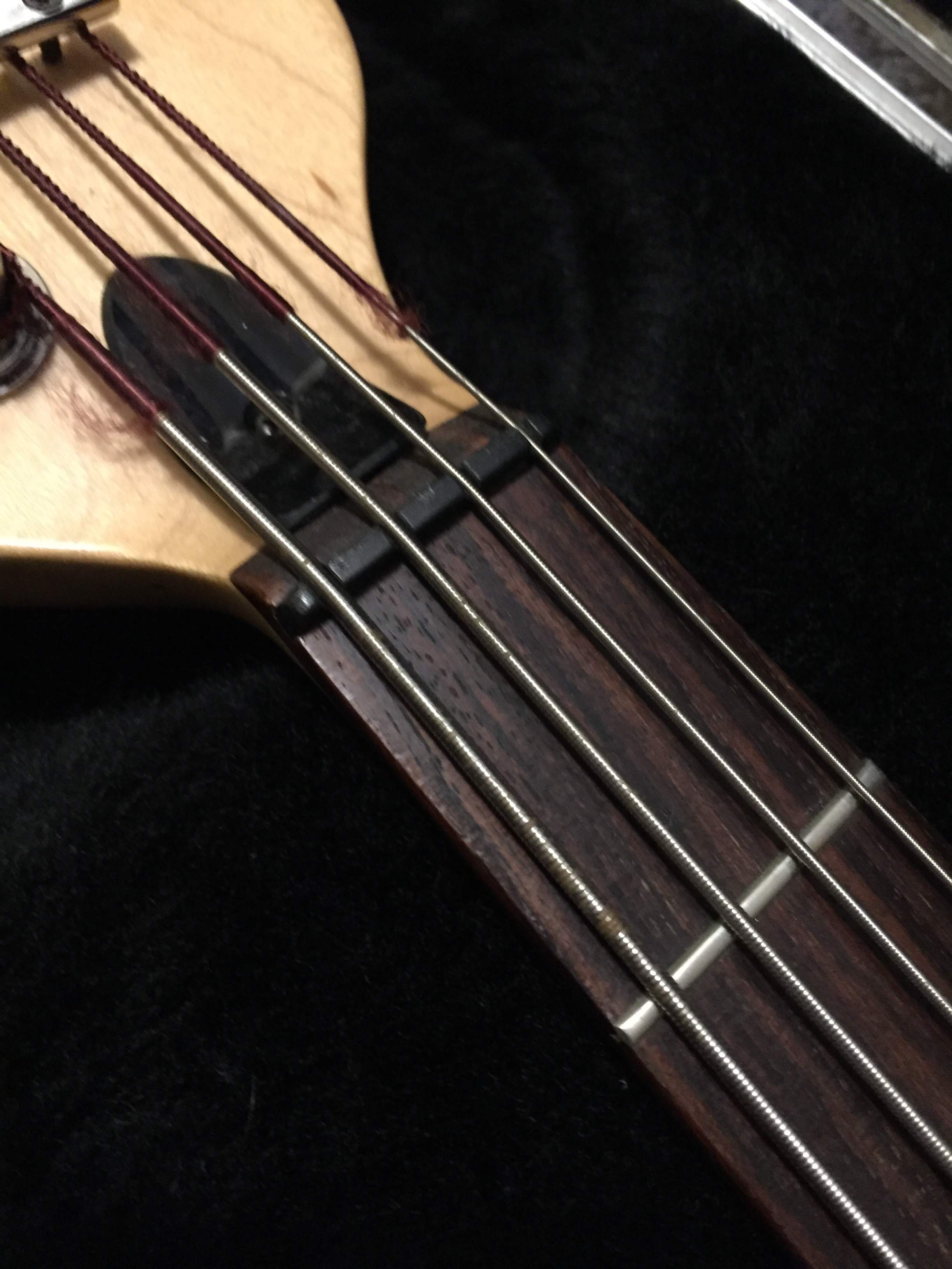 Peavey Foundation Bass 2.jpeg