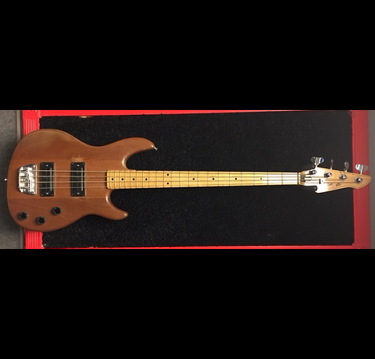 Peavey Foundation4.png
