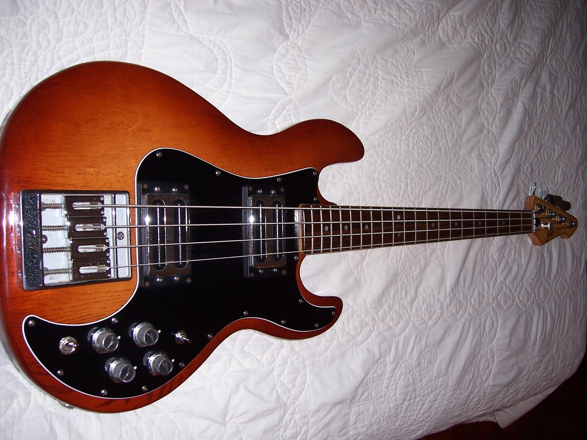 Peavey Front 1.jpg