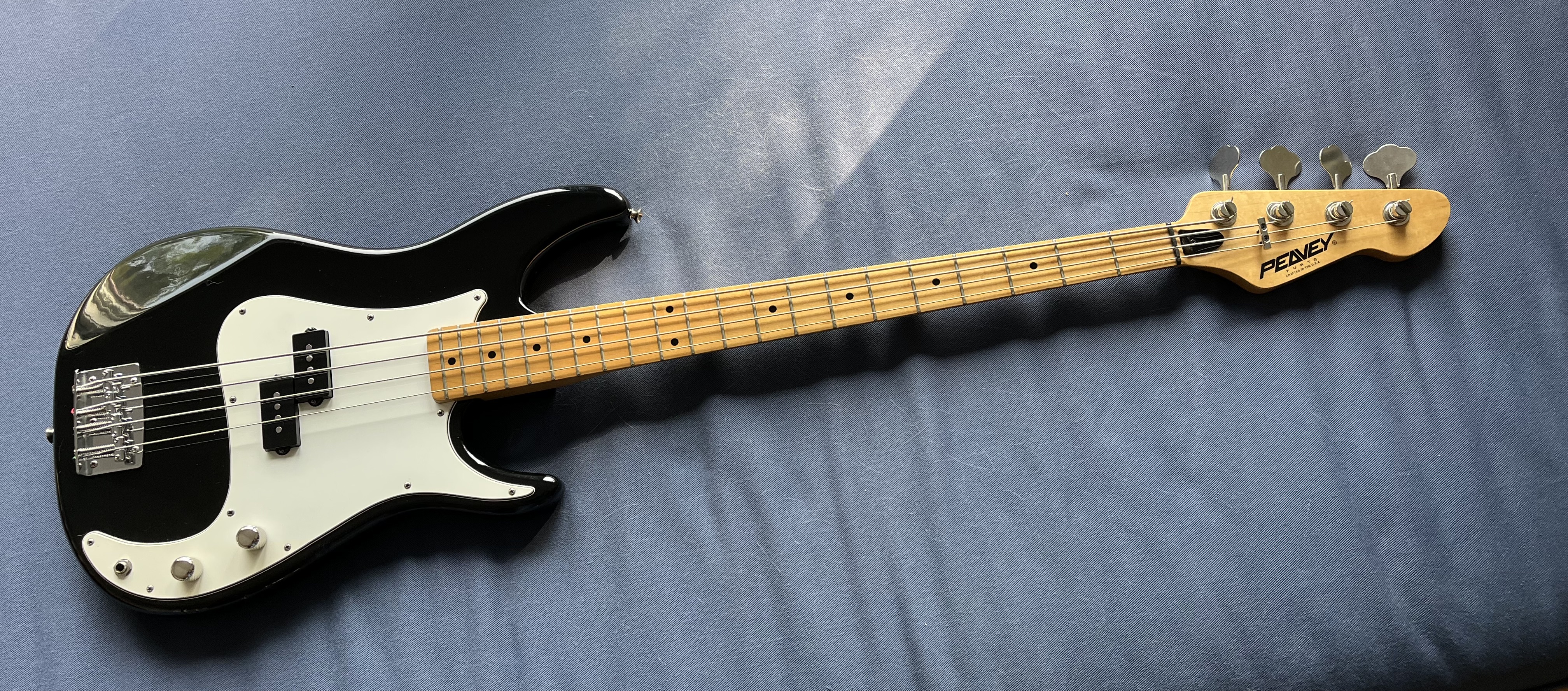Peavey Fury.jpeg