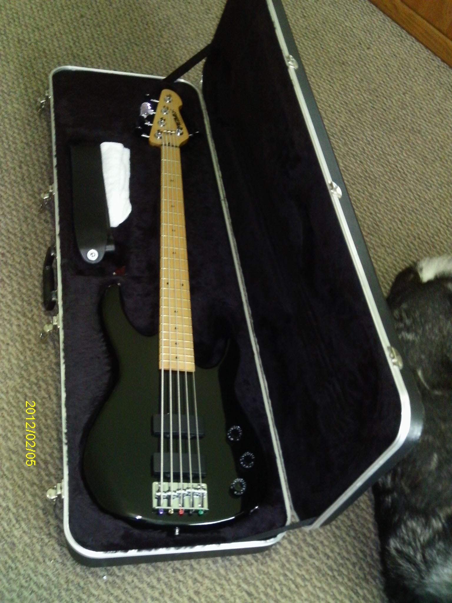 Peavey Hardshell Case(1).JPG