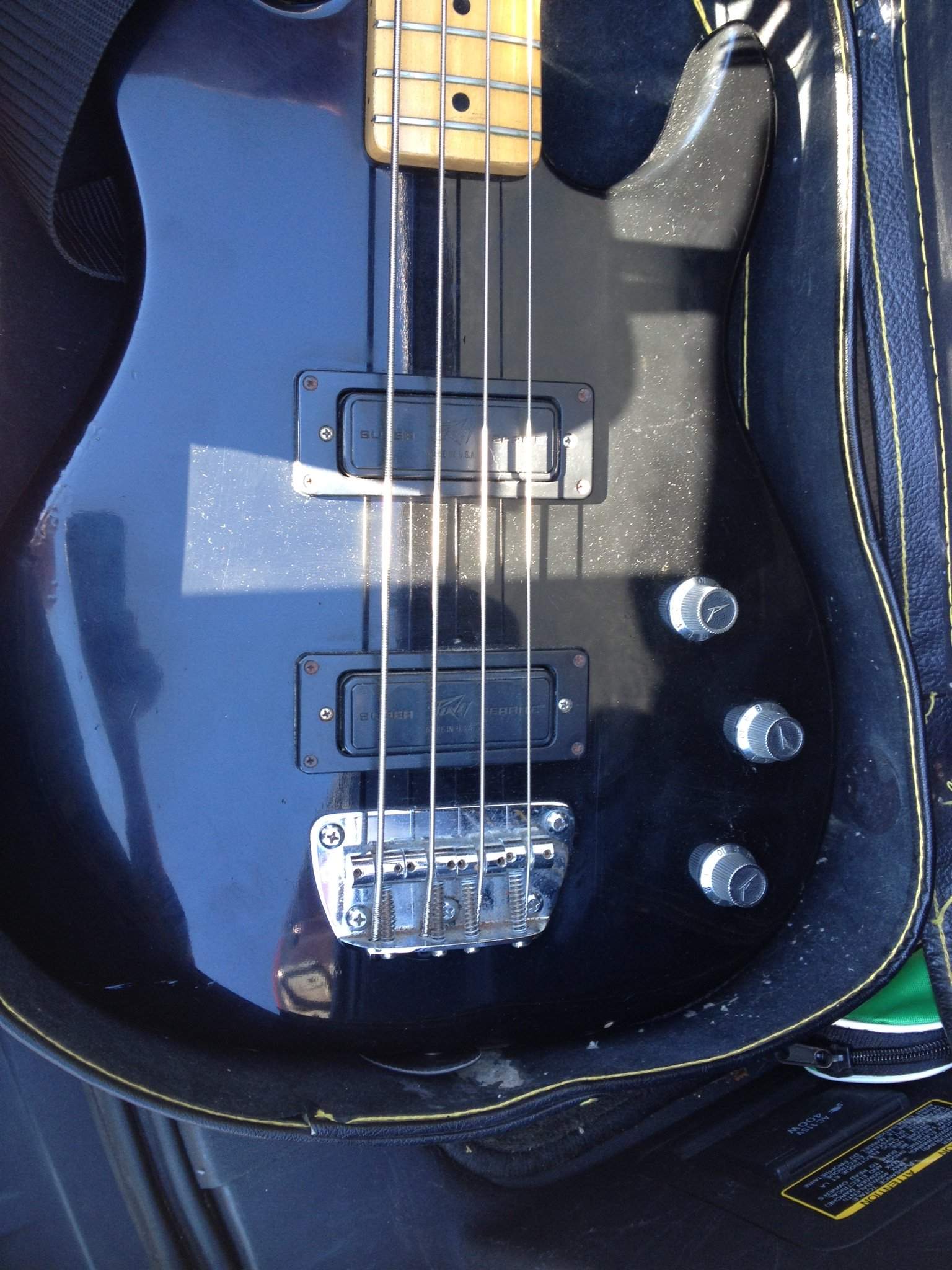 Peavey.jpeg