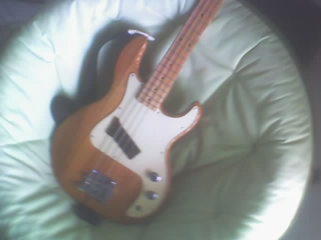 Peavey.jpg