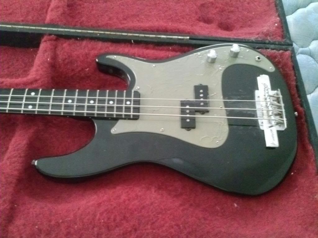 Peavey.jpg