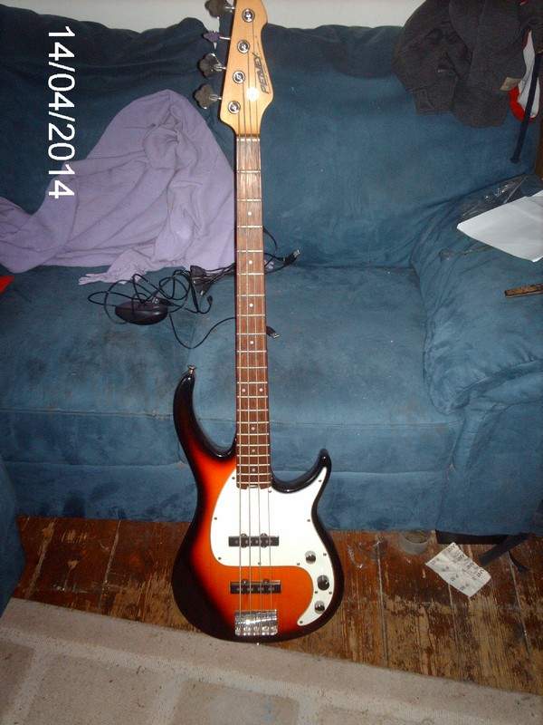 Peavey.jpg