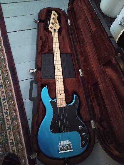 Peavey T-20.jpg