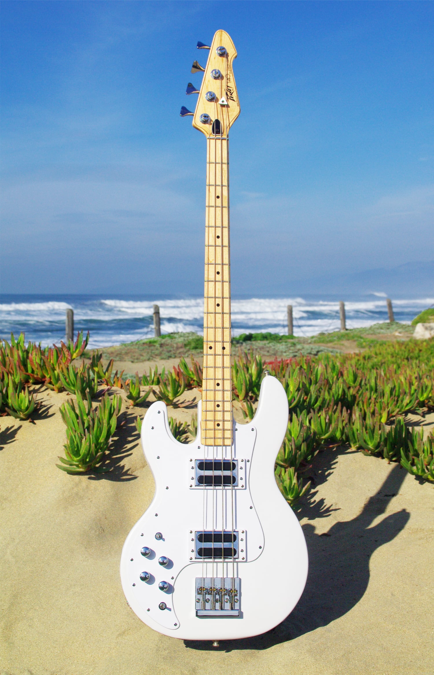 Peavey T-40 Beach Smaller.jpg