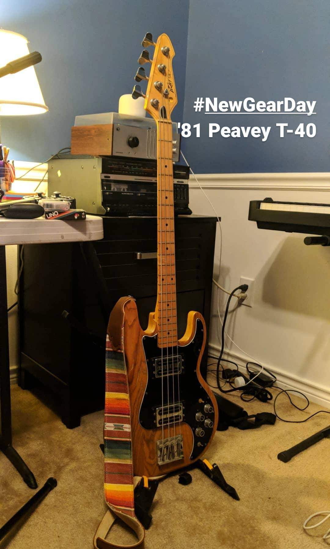 Peavey T-40.jpg