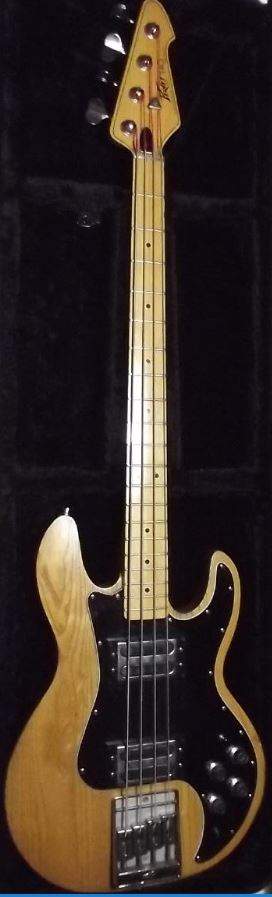 PEAVEY T-40.JPG