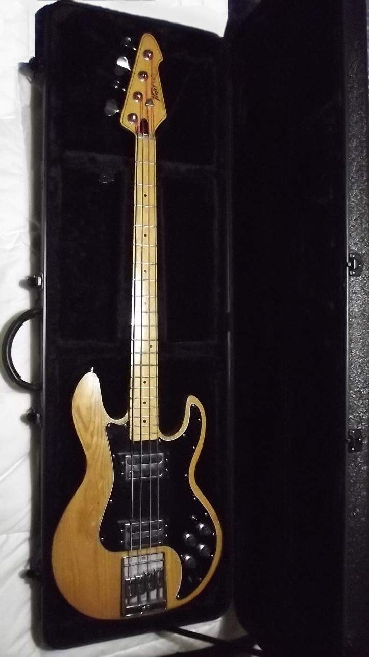 Peavey T40 1.JPG