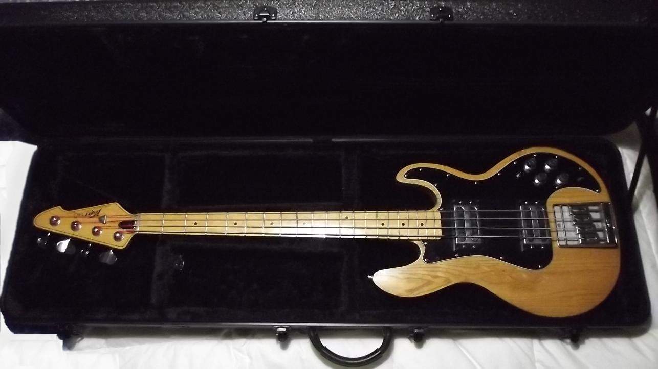 Peavey T40 1.JPG