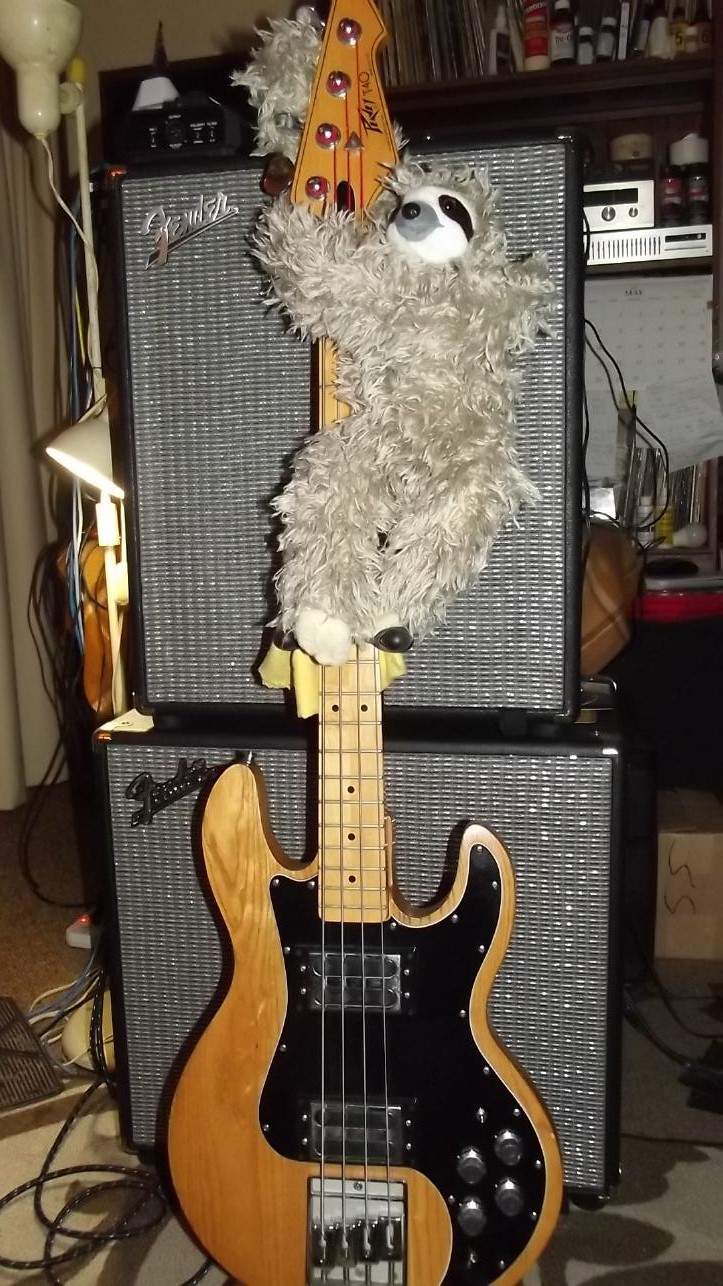 Peavey T40 Sloth 2.JPG