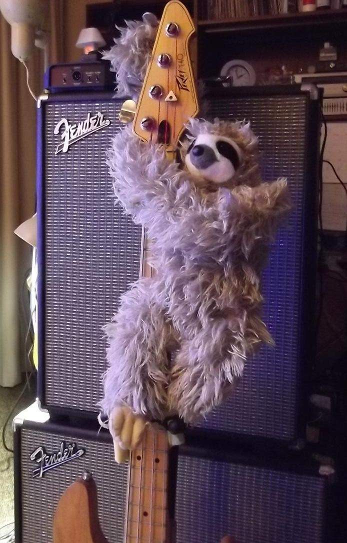 Peavey T40 Sloth 3.jpg