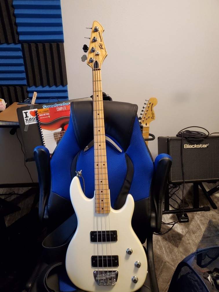 peavey1.jpg