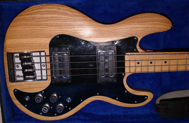 peavey10.jpg