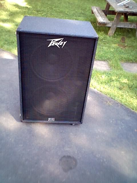 Peavey215D-BW009.jpg