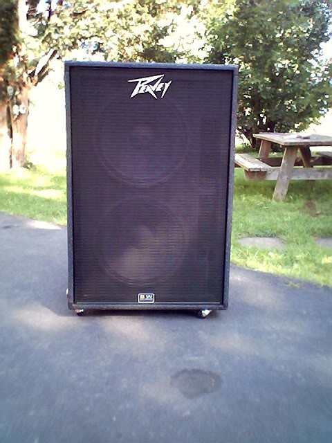 Peavey215D-BW012.jpg