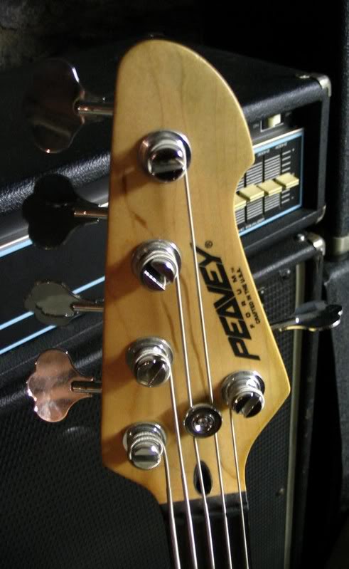 peavey3.jpg
