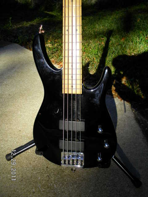 PEAVEY5.jpg
