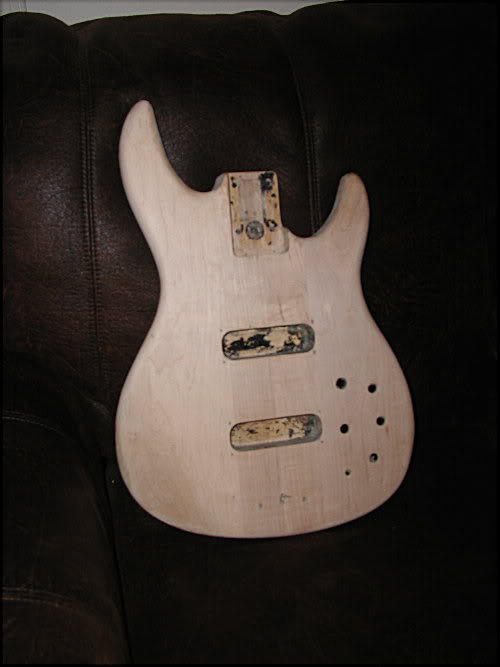 peavey_bald.jpg