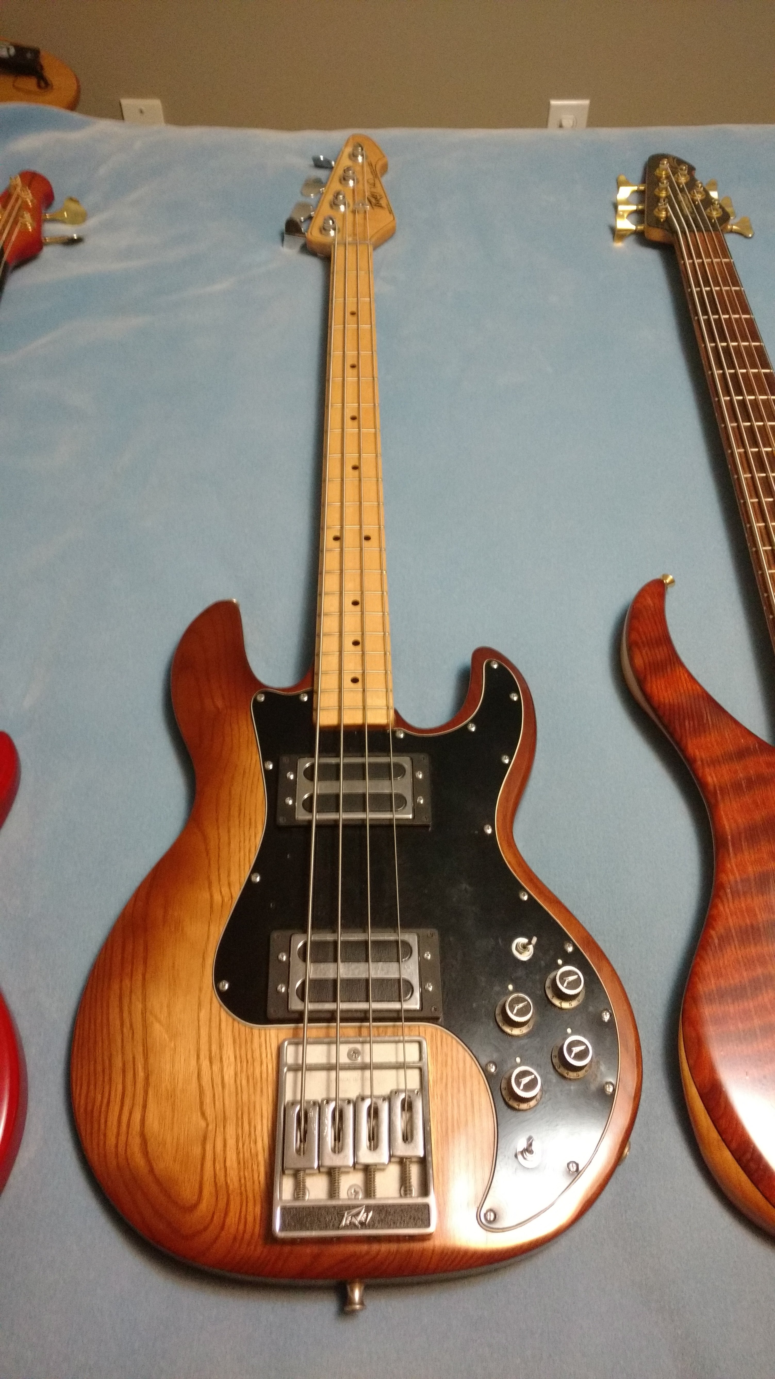 Peavey_T-40_2(1).jpg