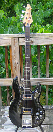 peavey_t40_001.jpg