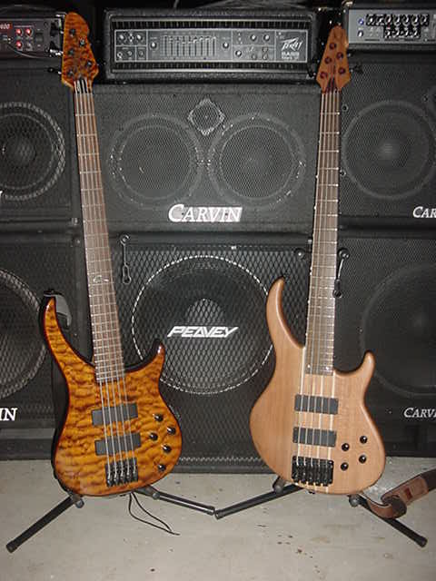 PeaveyBasses.jpg