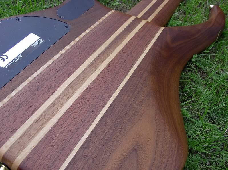 PeaveyCirrus6Fretless010.jpg