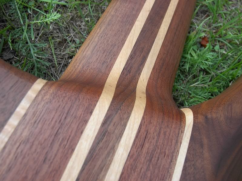 PeaveyCirrus6Fretless011.jpg